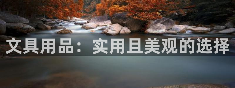 龙八国际登录网站：文具用品：实用且美观的