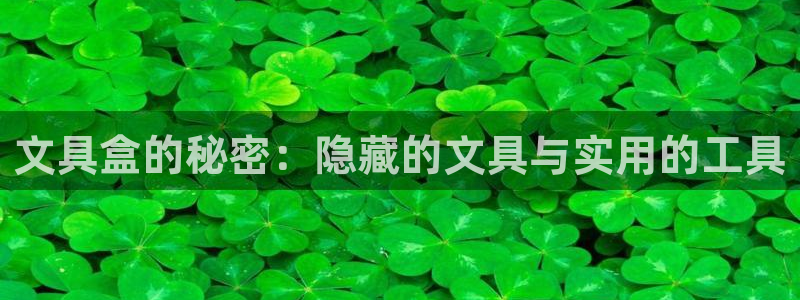 龙八国际手机登录：文具盒的秘密：隐藏的文