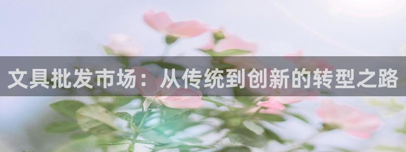 龙八国际花园宝宝：文具批发市场：从传统到