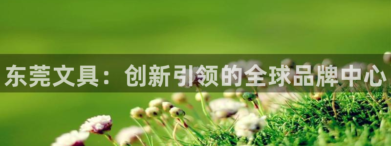 龙八国际网址视讯平台：东莞文具：创新引领