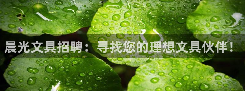 龙八国际娱乐官方网站：晨光文具招聘：寻找