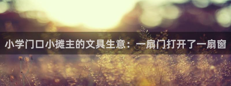 龙八国际华：小学门口小摊主的文具生意：一