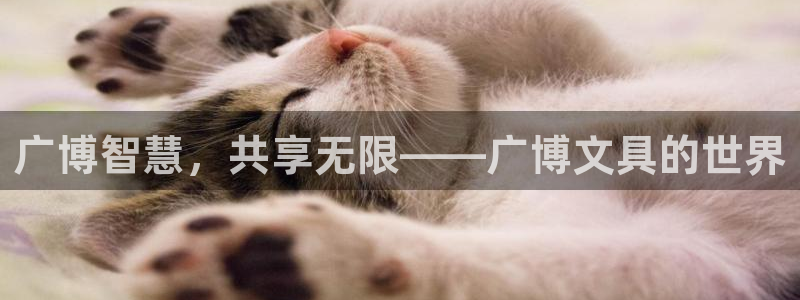 龙八国际手机版：广博智慧，共享无限——广