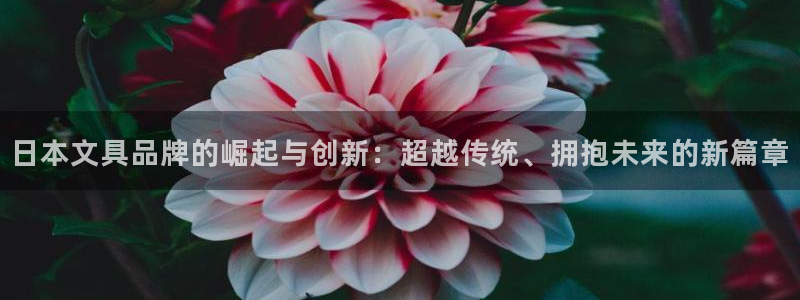 龙八国际娱乐在线：日本文具品牌的崛起与创