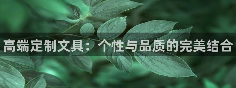 龙八国际官网产品介绍：高端定制文具：个性