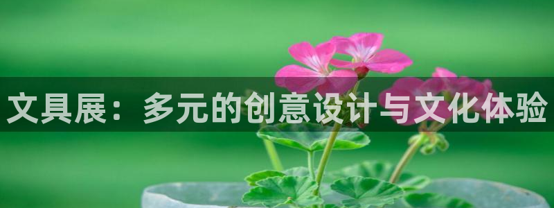 龙八国际娱乐老板是谁：文具展：多元的创意