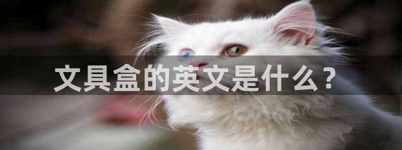 龙八国际在线登录：文具盒的英文是什么？