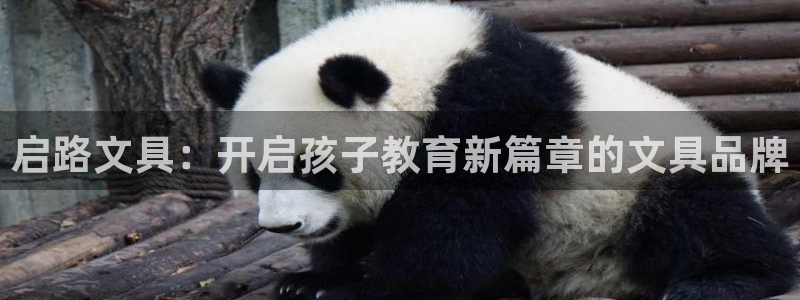 龙八国际pt娱乐：启路文具：开启孩子教育