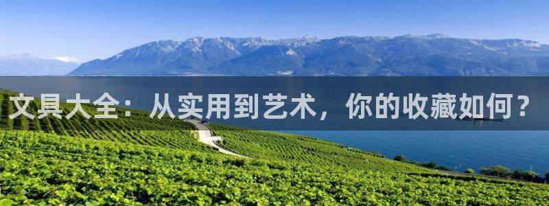 龙八国际手机app