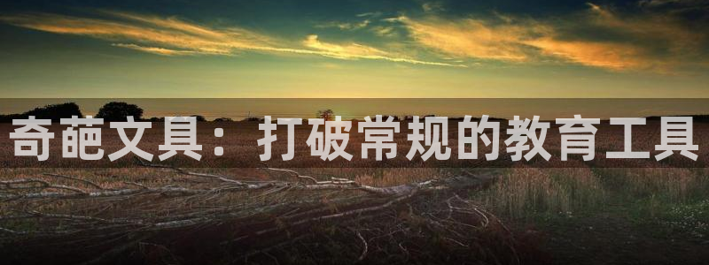 龙八国际是个什么游戏：奇葩文具：打破常规