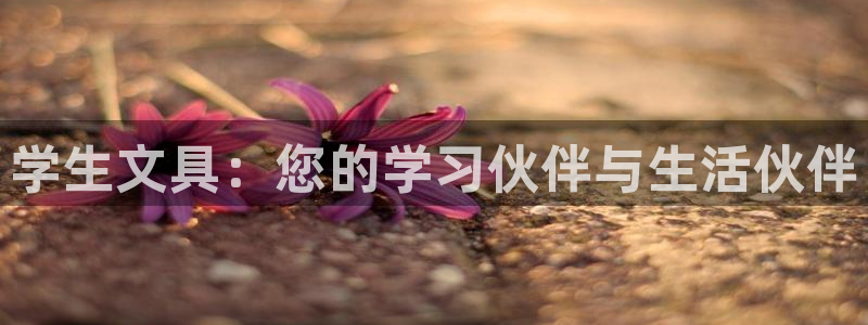 龙八国际官网安卓：学生文具：您的学习伙伴