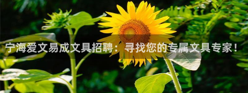 龙八国际靠谱吗：宁海爱文易成文具招聘：寻