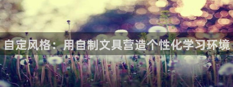 龙八国际苹果下载地址：自定风格：用自制文