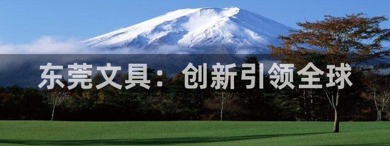 下载龙八国际手机版安装：东莞文具：创新引