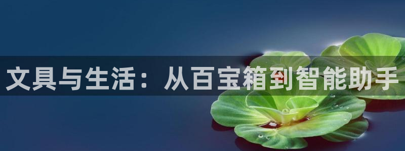 龙八国际手机版登录：文具与生活：从百宝箱