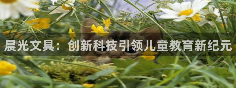 龙八国际官方网站pt：晨光文具：创新科技