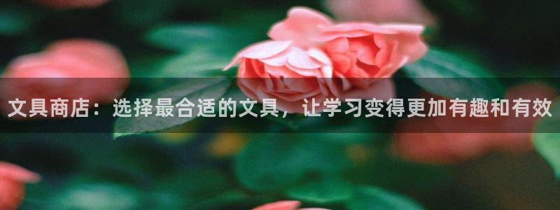 龙八国际有没有假：文具商店：选择最合适的