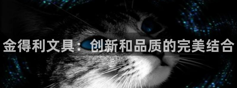 龙八国际官网下载：金得利文具：创新和品质